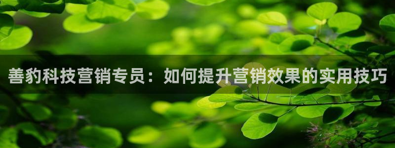 金年会体育竞彩app