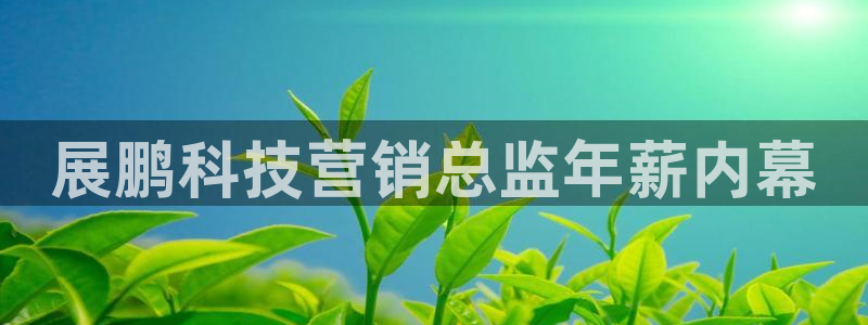 金年会官方在线入口网址是多少