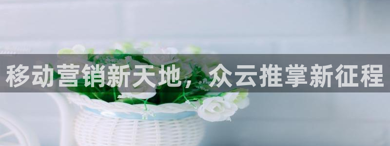 金年会体育jinnianvip