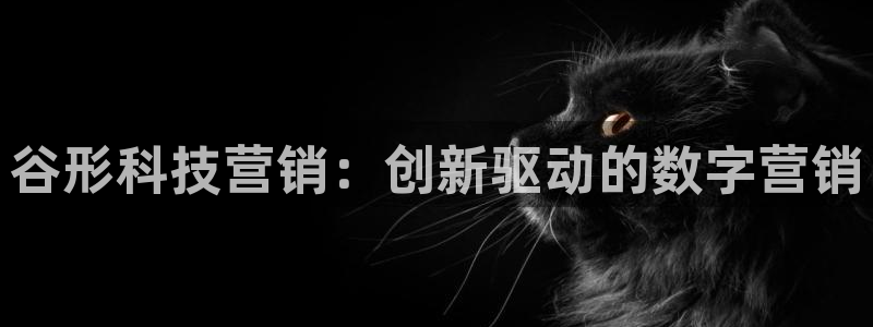 金年会网站可靠吗