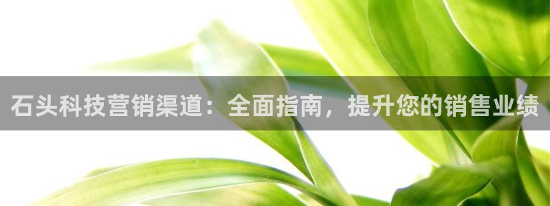 金年会官方体育