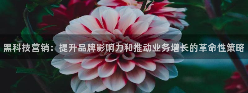 金年会体育买球app下载安卓