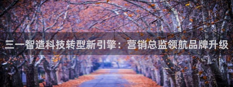 金年会网站事件后果