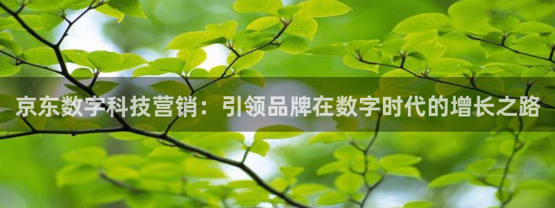 金年会金字招牌信誉至上365