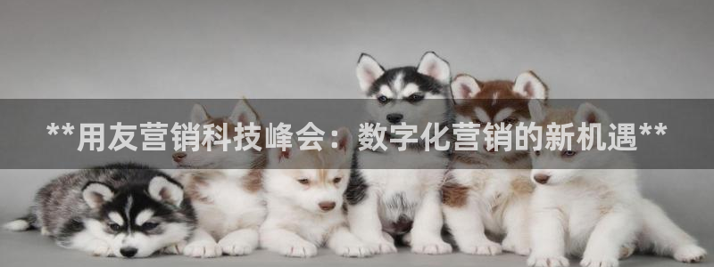 金年会下载哪个买球赛