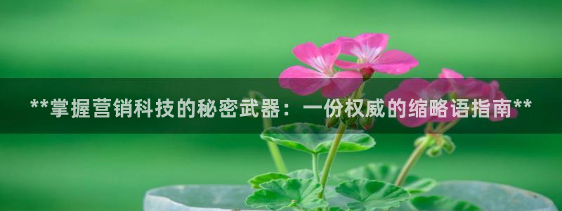 金年会体育信誉怎么样