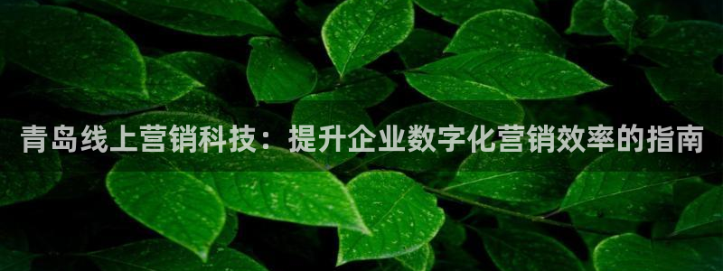 金年会体育平台是真的吗