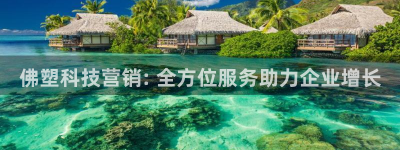 金年会体育app属于正规平台吗