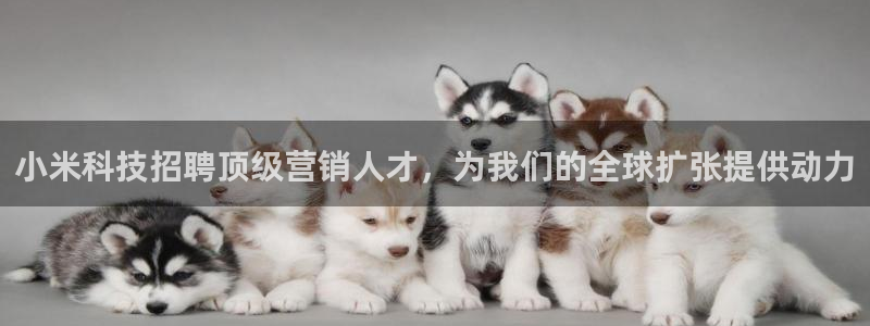金年会体育开户