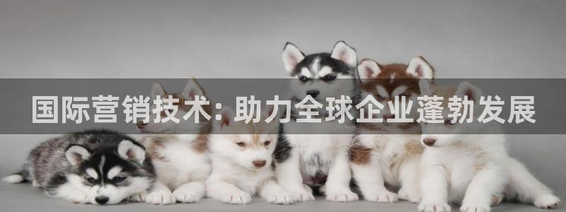 金年会