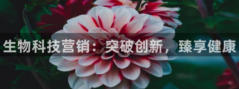 金年会体育如何