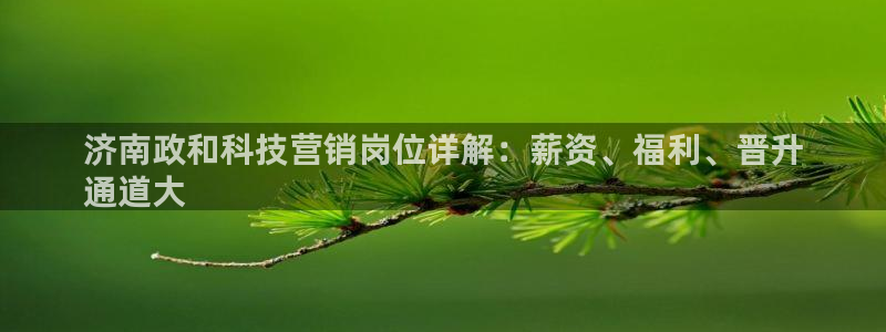 金年会手机网页版官网