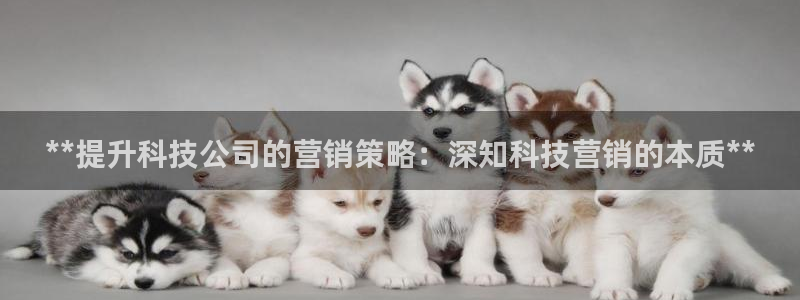 金年会网站提现一直显示审核当中怎么办