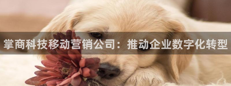 金年会下载官方网站