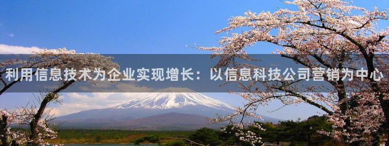 金年会网址有吗