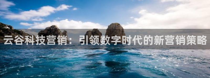 金年会平台是黑网还是白网