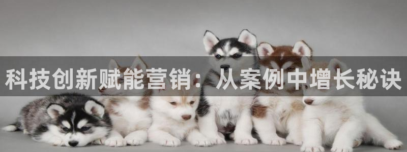 金年会VIP