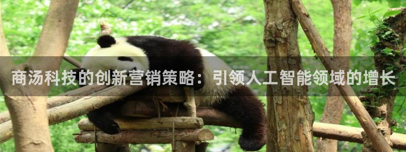 金年会vip打开网络异常怎么办