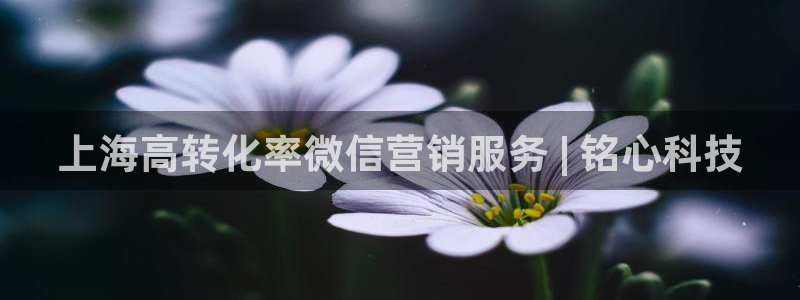 金年会金字招牌下载