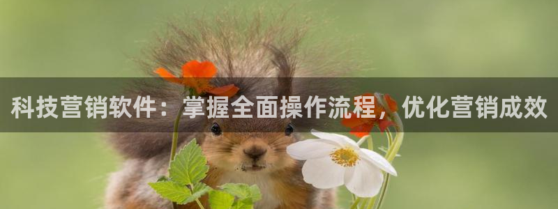 金年会体育论坛