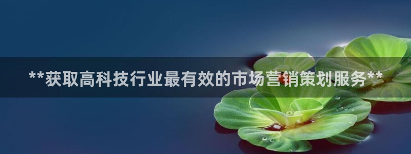金年会手机网页版