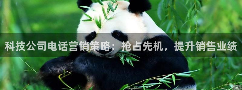 金年会官方平台是什么