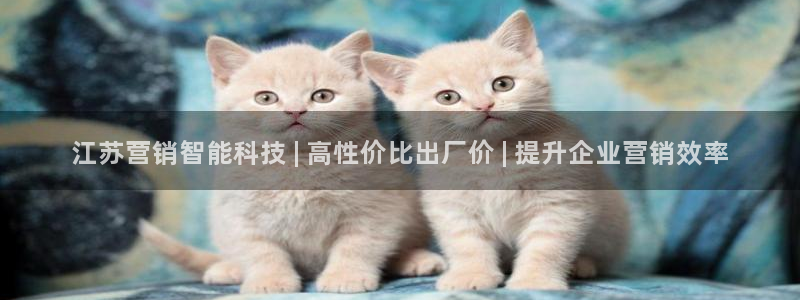 金年会是不是黑平台