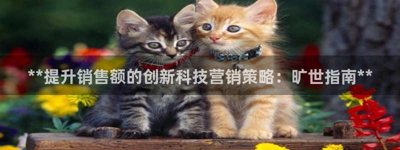 金年会体育下载APP