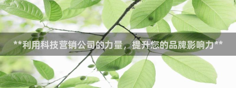 金年会体育手机app下载官网最新版