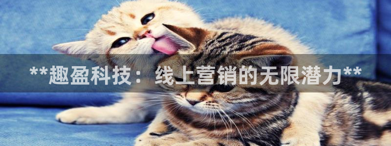 金年会金字招牌至上