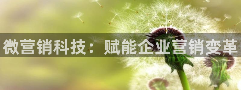 金年会官方app下载安卓