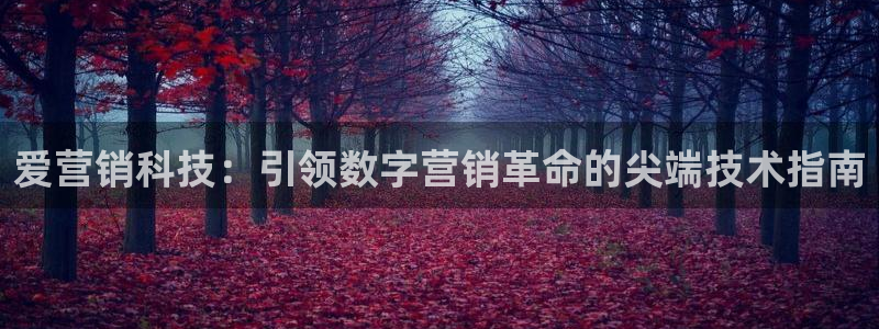 金年会体育app最新官网下载安装