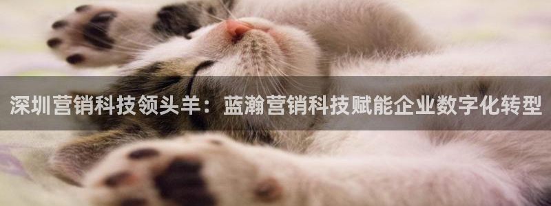 金年会网站拒绝出款怎么办理