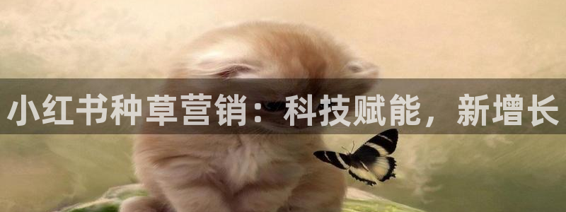 金年会体育