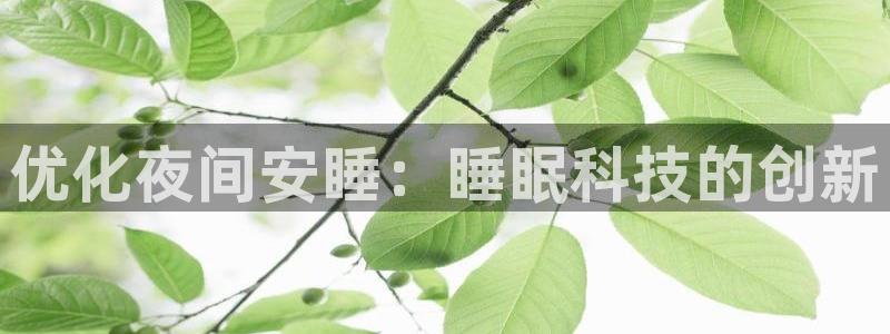 jinnianhui金年会