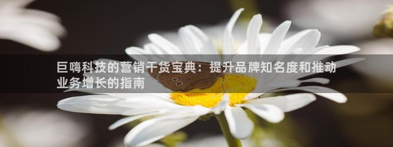 金年会网站被拒绝出款怎么处理?