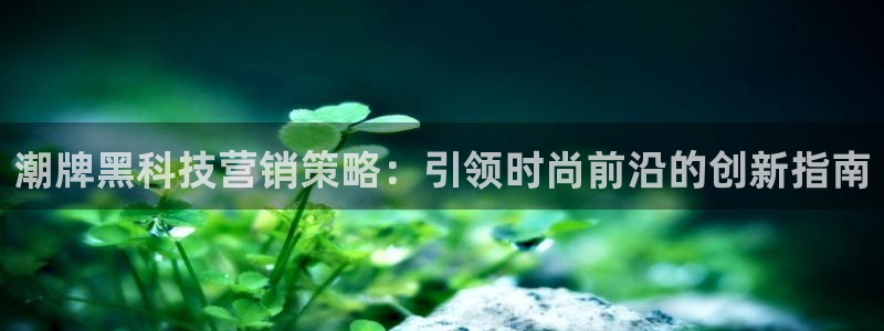 金年会官方在线入口网址是多少