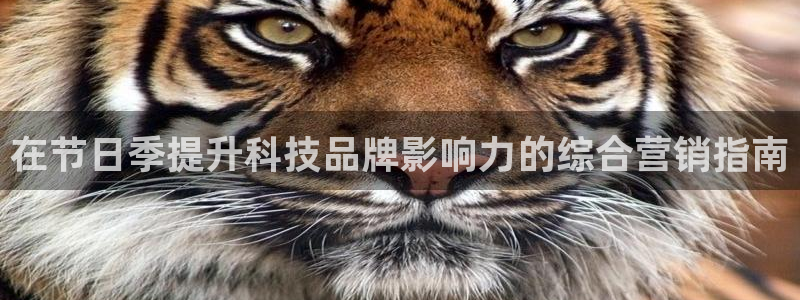 金年会官方app下载苹果
