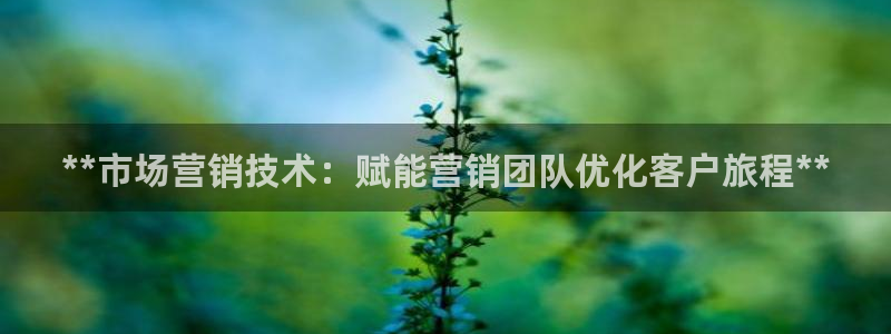 金年会官方体育频道直播