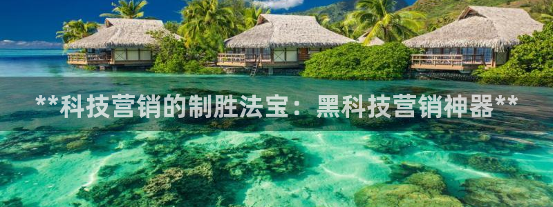 金年会app官方网站是什么