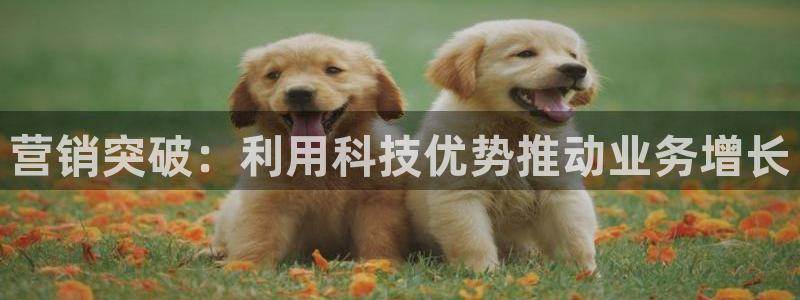 金年会体育娱乐