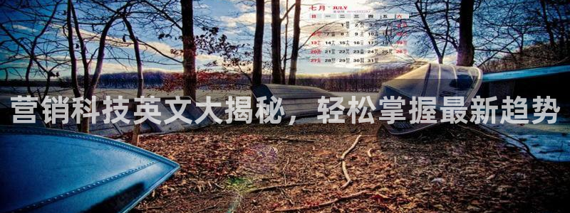 金年会网站入口官网