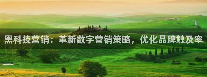 金年会体育平台官网下载