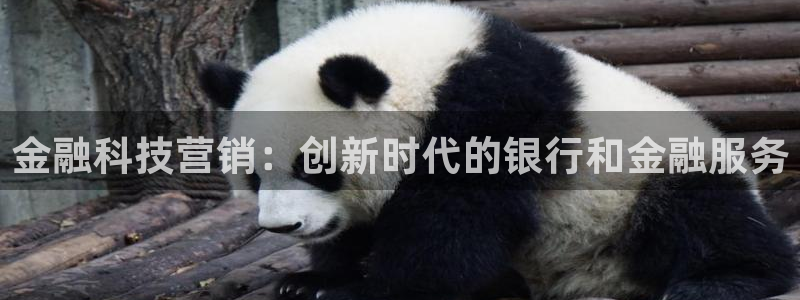 金年会电子游