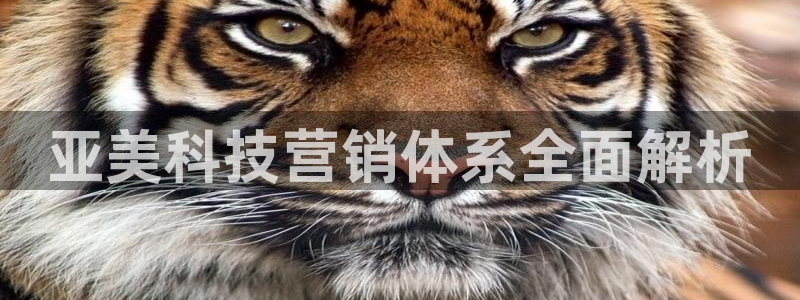 金年会金字招牌至上技术有限公司