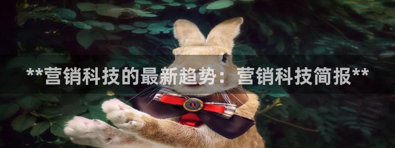 金年会平台官网下载