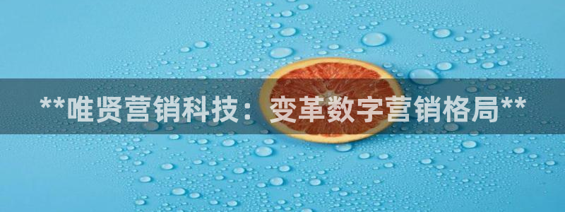 金年会vip888