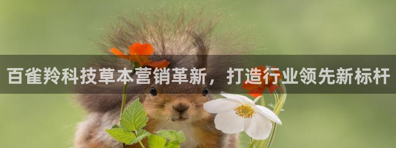 金年会平台官网下载