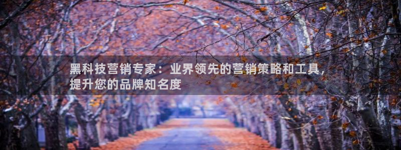 金年会官方app