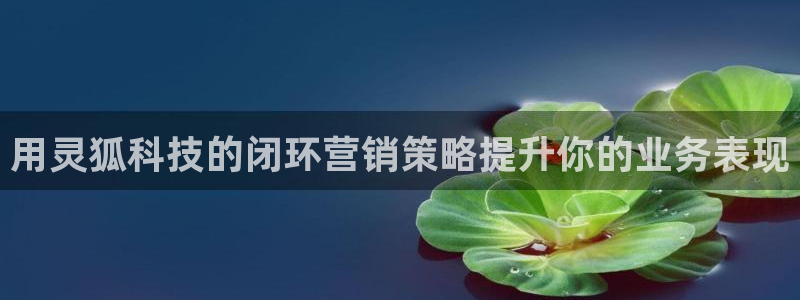 金年会官方入口网站下载